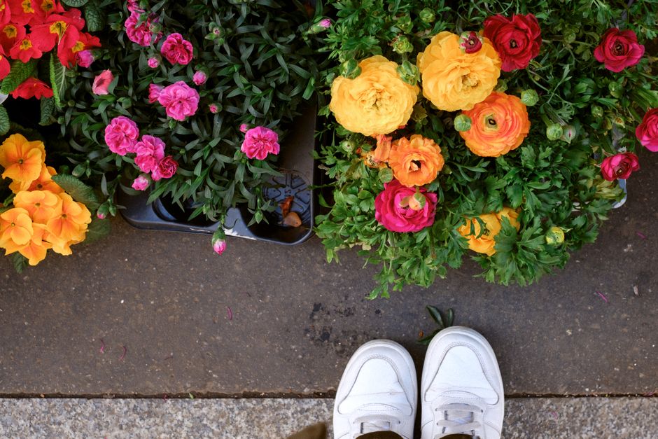 A top-down view of a sidewalk display featuring several potted flowering plants with vibrant blooms in shades of pink, orange, and yellow, arranged closely together. The flowers include begonias and p
